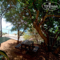 фото из отзыва ID 1622010