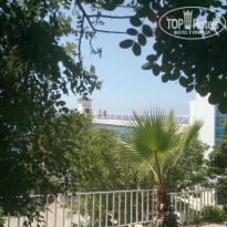 фото из отзыва ID 1622010