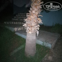 фото из отзыва ID 1622010