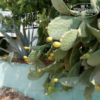 фото из отзыва ID 1622010