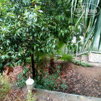 фото из отзыва ID 1622010