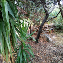 фото из отзыва ID 1622010