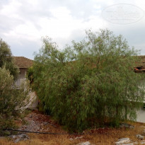 фото из отзыва ID 1622010