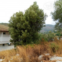 фото из отзыва ID 1622010