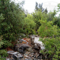 фото из отзыва ID 1622010