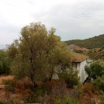 фото из отзыва ID 1622010