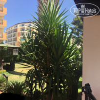 фото из отзыва ID 1626403