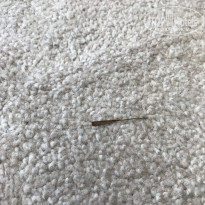 фото из отзыва ID 1625678