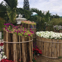 фото из отзыва ID 1626530