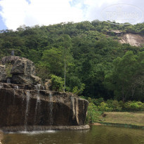 фото из отзыва ID 1626530