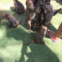 фото из отзыва ID 1626530