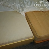 фото из отзыва ID 1626551