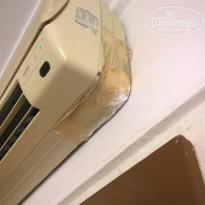 фото из отзыва ID 1626573