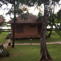 фото из отзыва ID 1626606