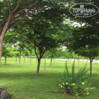 фото из отзыва ID 1626606