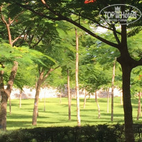 фото из отзыва ID 1626606