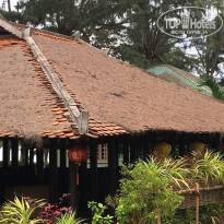 фото из отзыва ID 1626606