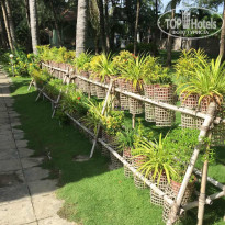 фото из отзыва ID 1626606