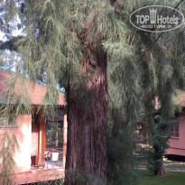 фото из отзыва ID 1626606