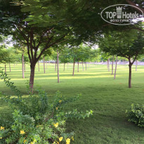 фото из отзыва ID 1626606