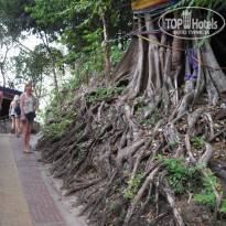 фото из отзыва ID 1626174