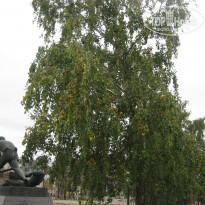 фото из отзыва ID 1625450