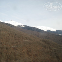 фото из отзыва ID 1625462