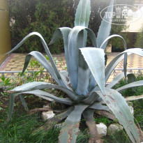 фото из отзыва ID 1625462