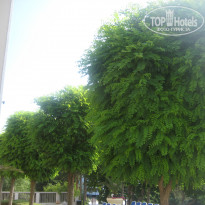 фото из отзыва ID 1625482