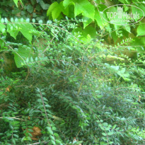 фото из отзыва ID 1625482