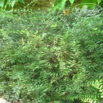 фото из отзыва ID 1625482