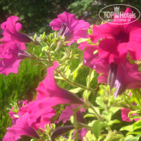 фото из отзыва ID 1625482