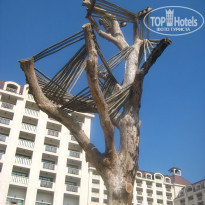 фото из отзыва ID 1625482