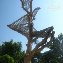 фото из отзыва ID 1625482