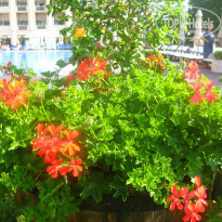 фото из отзыва ID 1625482