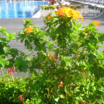 фото из отзыва ID 1625482