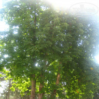 фото из отзыва ID 1625482