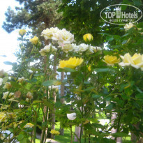 фото из отзыва ID 1625482