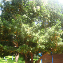 фото из отзыва ID 1625482