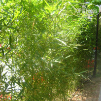 фото из отзыва ID 1625482