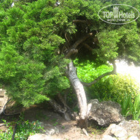 фото из отзыва ID 1625482