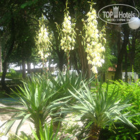 фото из отзыва ID 1625482