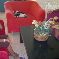 фото из отзыва ID 1626723