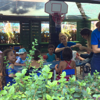 фото из отзыва ID 1626805