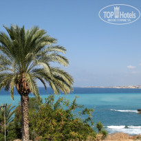 фото из отзыва ID 1626820