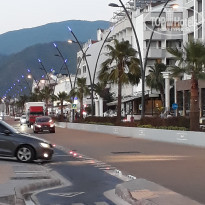 фото из отзыва ID 1626829