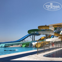 фото из отзыва ID 1626869