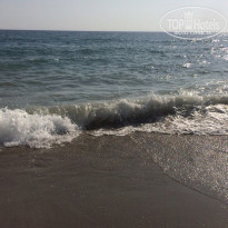 фото из отзыва ID 1627081