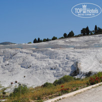 фото из отзыва ID 1627119