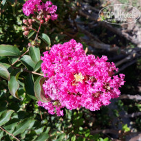 фото из отзыва ID 1627205